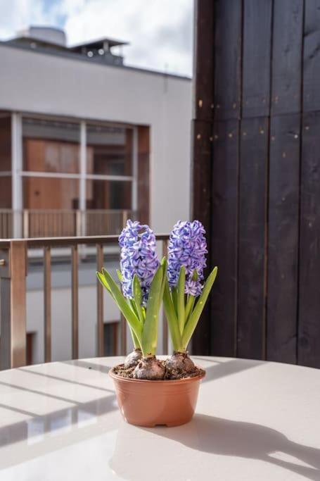New Loft With Rooftop Terrace In The Old Town Ryga Zewnętrze zdjęcie